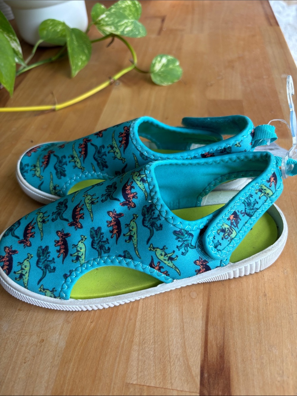 Carter’s Salinas Swim Water Shoes Dinosaurs